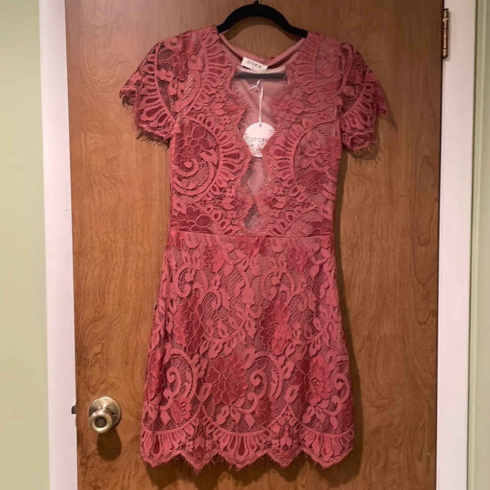 Storia Mini Lace Illusion Dress